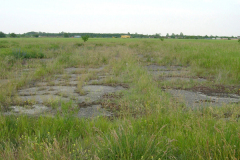 Zufahrt zu den Abzweigungen, wo die Flugzeuge geparkt wurden. Es gab insgesamt 10 Abzweigungen. Aufgenommen am 17.06.2006. Foto: Ing. Erwin Rössler