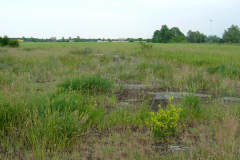 Zufahrt zu den Abzweigungen, wo die Flugzeuge geparkt wurden. Es gab insgesamt 10 Abzweigungen. Aufgenommen am 17.06.2006. Foto: Ing. Erwin Rössler