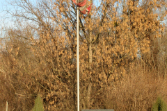 Der Gedenkstein zur Erinnerung an das Asperner Flugfeld, als ein Zentrum der österreichischen Fliegerei. Aufgenommen am 15.01.2007. Foto: Ing. Erwin Rössler
