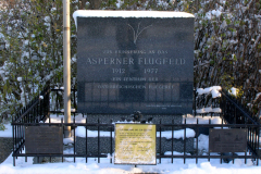 Der Gedenkstein zur Erinnerung an das Asperner Flugfeld, als ein Zentrum der österreichischen Fliegerei. Aufgenommen am 17.11.2007. Foto: Ing. Erwin Rössler