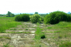 Die Zufahrt zur Kompensierscheibe des ehemaligen Flugfeld-Aspern. Die Kompensierscheibe war zum Kompensieren von Magnetkompasse von Luftfahrzeugen erforderlich. Aufgenommen am 19.05.2007. Foto: Ing. Erwin Rössler