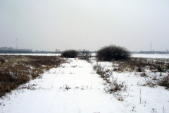 Die Zufahrt zur Kompensierscheibe des ehemaligen Flugfeld-Aspern. Die Kompensierscheibe war zum Kompensieren von Magnetkompasse von Luftfahrzeugen erforderlich. Aufgenommen am 01.01.2008. Foto: Ing. Erwin Rössler