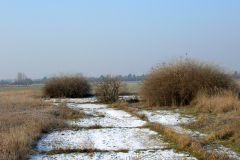 Die Zufahrt zur Kompensierscheibe des ehemaligen Flugfeld-Aspern. Die Kompensierscheibe war zum Kompensieren von Magnetkompasse von Luftfahrzeugen erforderlich. Aufgenommen am 10.01.2009. Foto: Ing. Erwin Rössler