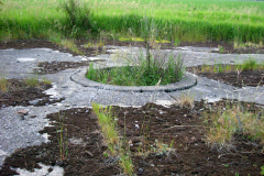 Die Kompensierscheibe des ehemaligen Flugfeld-Aspern. Diese war zum Kompensieren von Magnetkompasse von Luftfahrzeugen erforderlich. Aufgenommen am 17.06.2006. Foto: Ing. Erwin Rössler