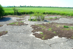 Die Kompensierscheibe des ehemaligen Flugfeld-Aspern. Diese war zum Kompensieren von Magnetkompasse von Luftfahrzeugen erforderlich. Aufgenommen am 19.05.2007. Foto: Ing. Erwin Rössler