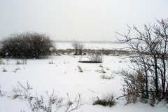 Die Kompensierscheibe des ehemaligen Flugfeld-Aspern. Diese war zum Kompensieren von Magnetkompasse von Luftfahrzeugen erforderlich. Aufgenommen am 01.01.2008. Foto: Ing. Erwin Rössler