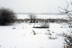 Die Kompensierscheibe des ehemaligen Flugfeld-Aspern. Diese war zum Kompensieren von Magnetkompasse von Luftfahrzeugen erforderlich. Aufgenommen am 01.01.2008. Foto: Ing. Erwin Rössler