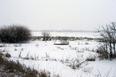 Die Kompensierscheibe des ehemaligen Flugfeld-Aspern. Diese war zum Kompensieren von Magnetkompasse von Luftfahrzeugen erforderlich. Aufgenommen am 01.01.2008. Foto: Ing. Erwin Rössler