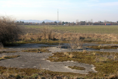 Die Kompensierscheibe des ehemaligen Flugfeld-Aspern. Diese war zum Kompensieren von Magnetkompasse von Luftfahrzeugen erforderlich. Aufgenommen am 24.01.2008. Foto: Ing. Erwin Rössler