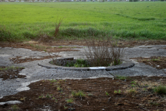 Die Kompensierscheibe des ehemaligen Flugfeld-Aspern. Diese war zum Kompensieren von Magnetkompasse von Luftfahrzeugen erforderlich. Aufgenommen am 16.04.2009. Foto: Ing. Erwin Rössler