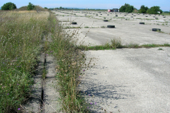 Die Landebahn 13-31 auf dem ehemaligen Flugfeld Aspern Blickrichtung Westen. Aufgenommen am 10.08.2008. Foto: Ing. Erwin Rössler